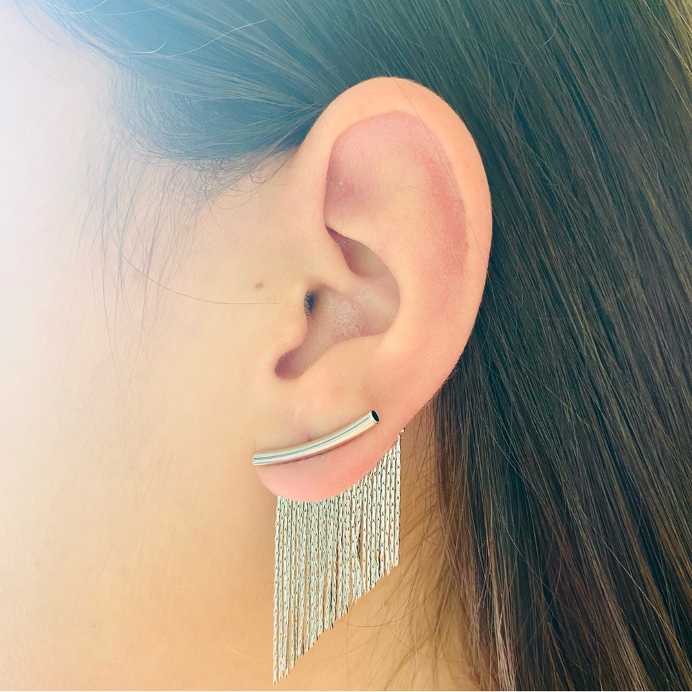 Silver Fringe Earrings
